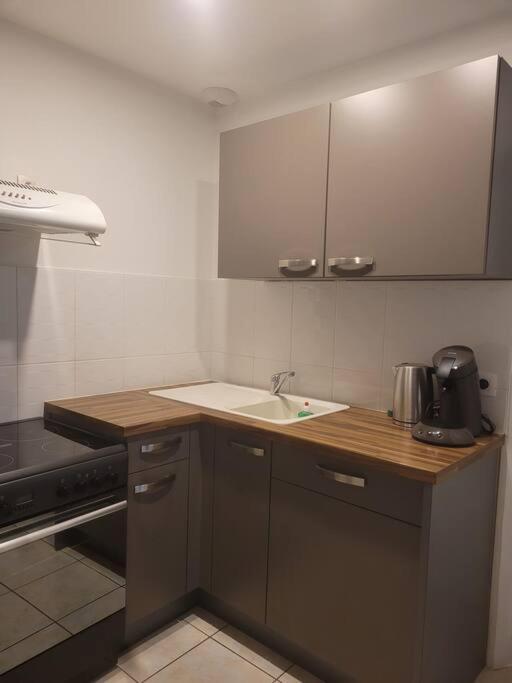 Appartement Sur La Place De Poncin Eksteriør billede